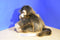 Ty Classic Cha Cha Brown Monkey 1998 Beanbag plush
