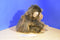 Ty Classic Cha Cha Brown Monkey Beanbag plush