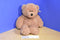 Ty Classic Tan Teddy Beat Walnut Beanbag plush