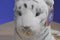 Ringling Bros. White tiger and Cub Plush