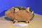 Outward Hound Squeaking Hedgehog Dog Toy