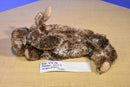 Douglas Floppy Brown Moose Beanbag plush