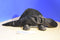 Russ Dimitri the Dimetrodan Dinosaur Beanbag plush