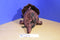 Russ Tyrone the Triceratops Dinosaur Beanbag Plush
