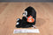 Ty Peek-A-Boo Penni Penguin 2015 Beanbag Plush Phone Holder