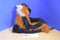 Wild Republic Red Ruffed Lemur 2012 Plush