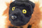 Wild Republic Red Ruffed Lemur 2012 Plush