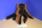 Wild Republic Red Ruffed Lemur 2012 Plush