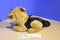 E & J Classics Prima Collection German Shepherd Plush