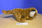 Toys R Us Tiger 2011 Beanbag Plush