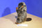 Yang Jee Beaver Plush