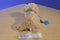 Maurice's Golden Retriever with Scarf 2005 Beanbag Plush