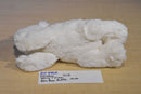 Demdaco The Nancy Tillman Collection Polar Bear Rattle Plush