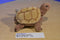 Platte River Trading Tara the Brown Turtle Plush
