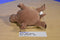 Platte River Trading Tara the Brown Turtle Plush
