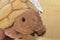 Platte River Trading Tara the Brown Turtle Plush