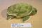 Wishpets Jolene Sea Turtle 2004 Plush