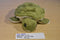 Wishpets Jolene Sea Turtle 2004 Plush