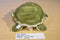 Wishpets Jolene Sea Turtle 2004 Plush
