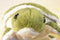 Wishpets Jolene Sea Turtle 2004 Plush