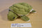 Wishpets Jolene Sea Turtle 2004 Plush