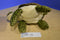 Wild Republic Green Sea Turtle 2010 Beanbag Plush