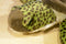 Wild Republic Green Sea Turtle 2010 Beanbag Plush