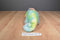 Ty Beanie Buddy 1999 Rainbow and Baby 1997 Iggy Tie Dye Beanbag Plushes
