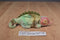 Ty Beanie Buddy 1999 Rainbow and Baby 1997 Iggy Tie Dye Beanbag Plushes