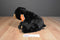 Wild Republic CK Black Bear Beanbag Plush