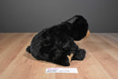 Wild Republic CK Black Bear Beanbag Plush