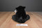 Wild Republic CK Black Bear Beanbag Plush