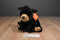 Wild Republic CK Black Bear Beanbag Plush