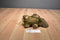 Brown Beaver Plush