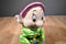 Disney Snow White Dwarf Dopey Plush