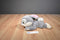 Disney Store Bambi Floppy Thumper Beanbag Plush