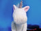 Circo White Pastel Purple and Blue Unicorn 2015 Plush