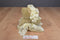 Handmade Tan Teddy Bear Yellow Lace Dress Roses Beanbag Plush