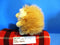 Gund Ganley the Hedgehog Plush