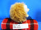Gund Ganley the Hedgehog Plush