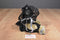 Handmade Tan Teddy Bear Black Lace Dress Rhinestones Beanbag Plush