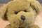 Russ Hathaway Brown Teddy Bear Beanbag Plush
