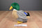 Mary Meyer Ballard the Mallard Duck Plush