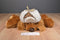 Hugfun Graham Brown Puppy Bomber Hat 2006 Beanbag Plush