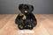 Russ Bizzie Showbiz Black Gold Bear Beanbag Plush