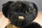 Russ Bizzie Showbiz Black Gold Bear Beanbag Plush
