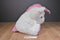 Kellytoy Whimsical White Pink Unicorn 2017 Plush