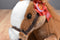 Wells Fargo Pony Mack 2012 Plush