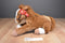 Wells Fargo Pony Mack 2012 Plush