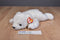 Ty Buddy Chilly Polar Bear 1998 Beanbag Plush